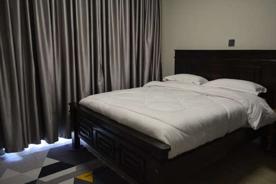 Furnished 2-Bedroom Apartment – For Rent image 12