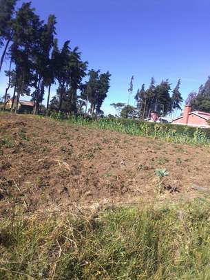 ¼ acre plot Kinungi, Naivasha image 2