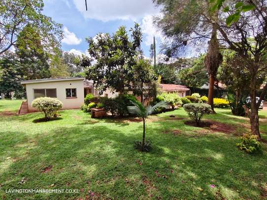 Commercial Property with Fibre Internet at Lavington Green image 22