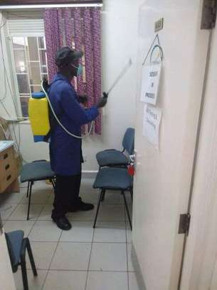 Fumigation and Pest Control Services Kabete image 5