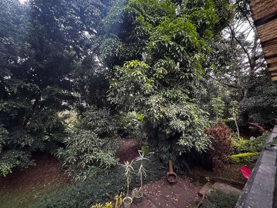 0.51 ac Residential Land in Spring Valley image 5