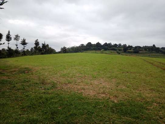 Land in Redhill image 15