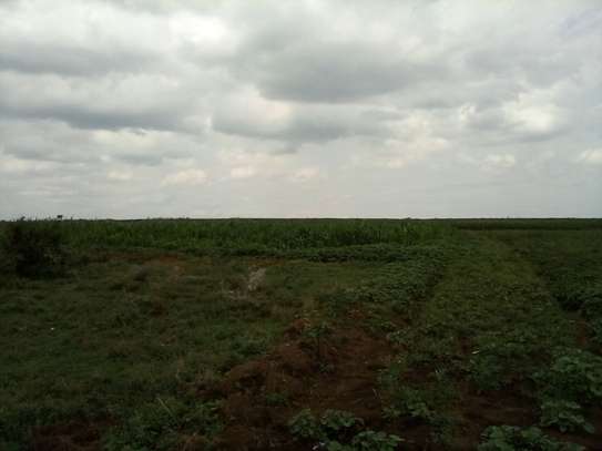 Land at Nanyuki-Rumuruti Rd image 11