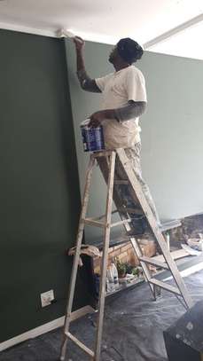 Plumbing/Painting/Wallpapering/Gardening/Tiling/Cleaning image 1