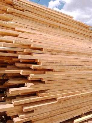 All  types of timber image 1