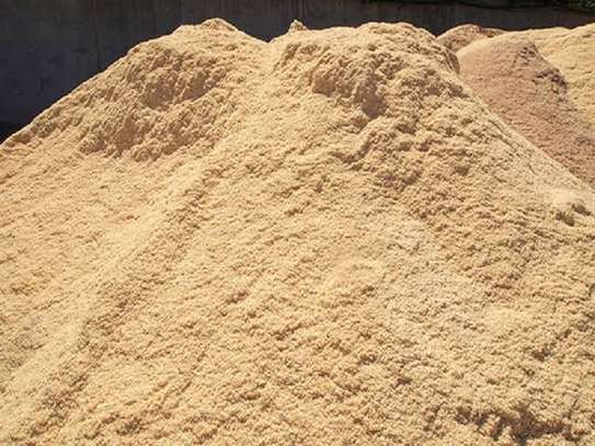 Sawdust(large quantity in tonnes or kgs) image 2