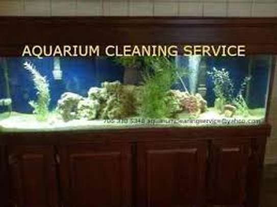 Aquarium Cleaning Services | Fish Tank Maintenance Company image 12