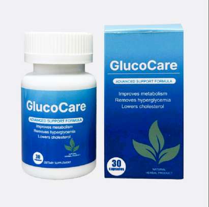 GlucoCare A Supplement for Diabetes image 3