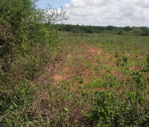100 Acres For Sale Along Kibwezi-Kitui Road On The Plateau image 4