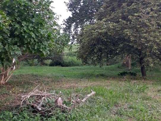 80,940 m² Commercial Land in Kwale County image 10