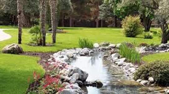 Best Landscaping & Gardening Services-Nakuru Experts image 13