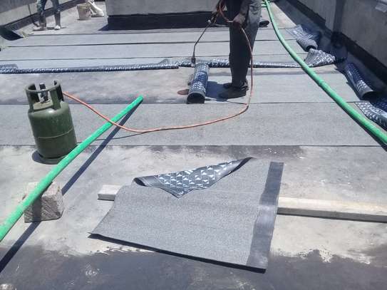 Flat roof waterproofing, APP Membrane image 2