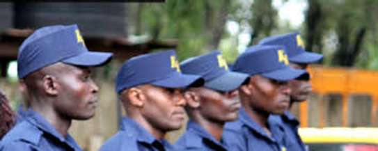 Are you Looking for Professional Security Personnel for Your Event in Nairobi? image 2