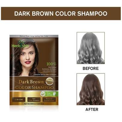 AMMONIA FREE Hair Colour Shampoo image 2