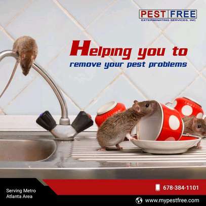 Bedbugs control image 1