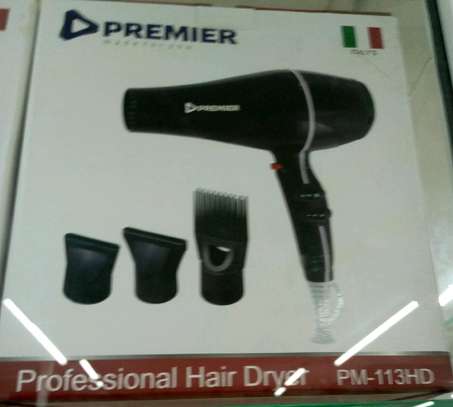 Premier Hair Dryer image 1