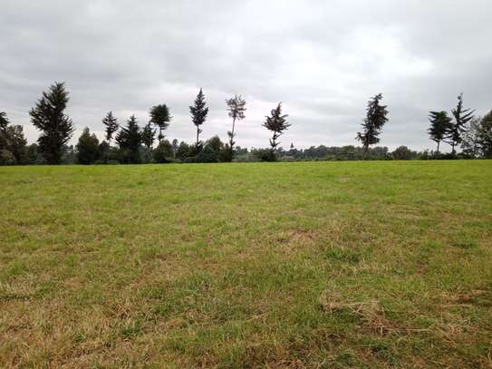 Land in Redhill image 20