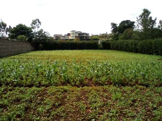 Land at Muringa image 10