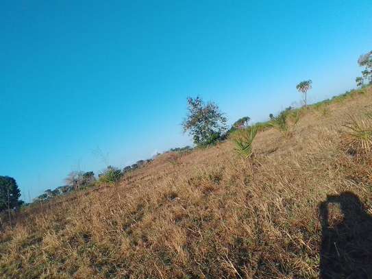 33 ac Commercial Land at Kiwengu image 2