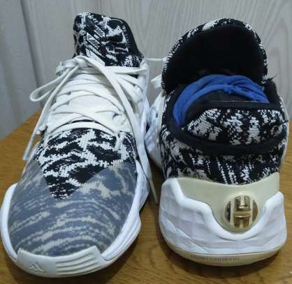 ADIDAS HASSAYAMPA Harden Vol. 4 image 2