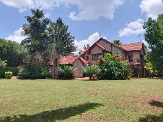 4 bedrooms mansion with dsq on Sale in Karen image 3