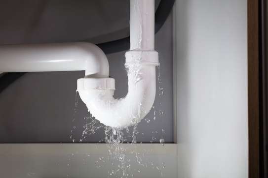 Looking for Vetted & Trusted Plumbing Specialists ? Get Free Quote & advice . image 1