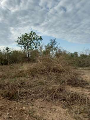 100 ac Commercial Land at Lungalunga image 5