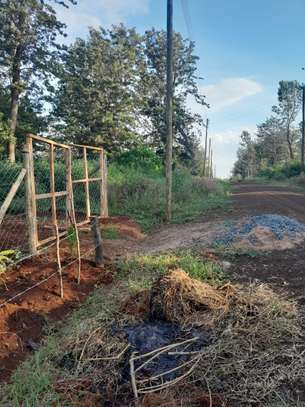 Residential Land in Tatu City image 15