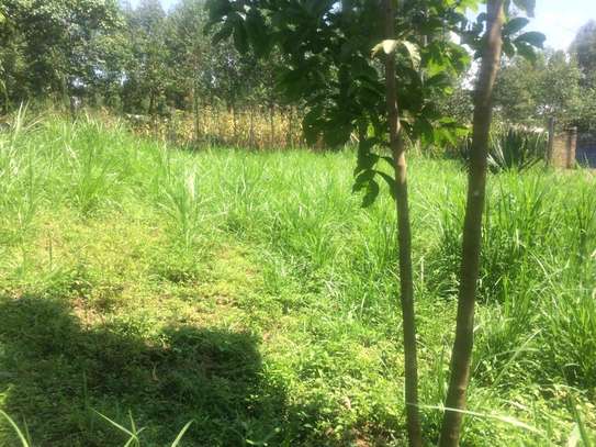 0.41 Acres prime Land For Sale in Malava, Kakamega County image 4