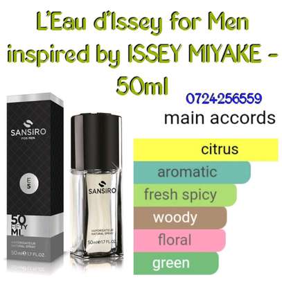 E5 - Sansiro L'Eau d'Issey Pour Homme for Men 40ml image 1