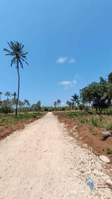 Prime Tropical Land Plot Cleared for Building image 3