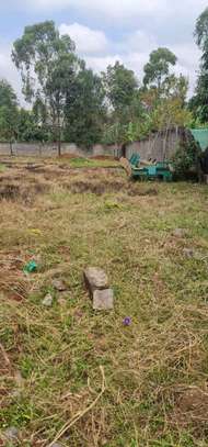 Land , selling 1/2 acre thome stream Drive. image 1