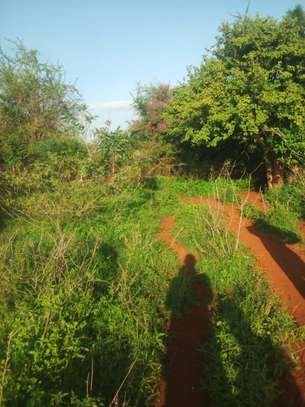 600 Acres For Sale in Mutha Region of Kitui County image 2