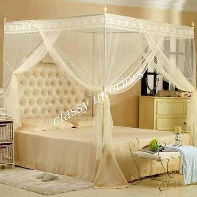Gorgeous mosquito nets image 2