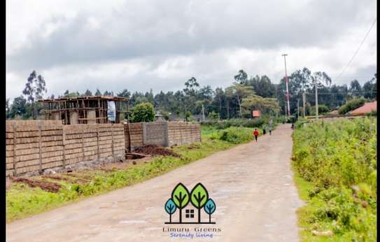 Residential Land at Limuru Greens image 11