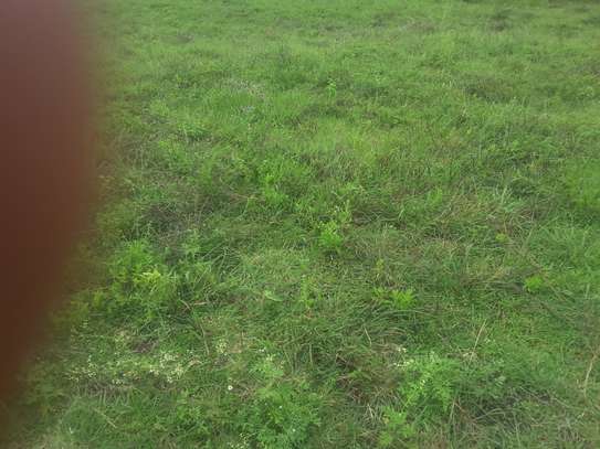 Beautiful one eighth plots in Ngong image 2