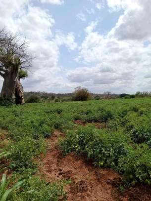 24 acres of land along Athi-River in Kibwezi Makueni County image 2