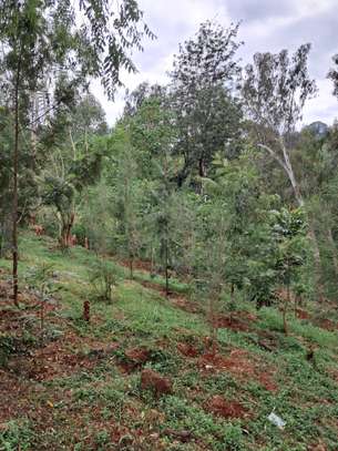 Residential Land in Tatu City image 7