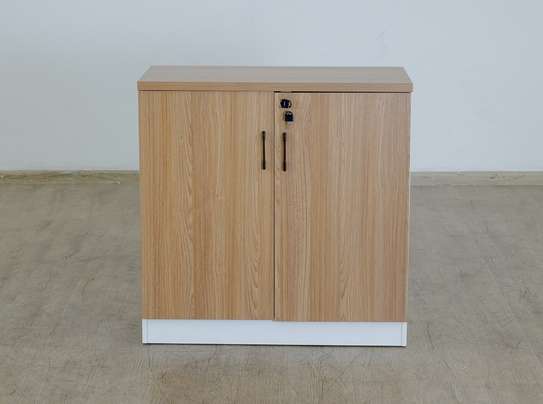 Office Documet : 2-Door Document Cabinet image 1