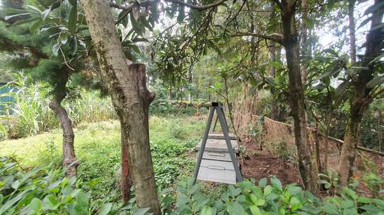 4 Bed House with En Suite in Karen image 8