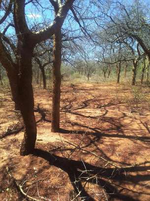 64 acres along Makindu-Wote Road Makueni County image 4