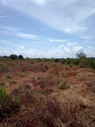 17 Acres in Malindi Gede Is Available For Sale image 4