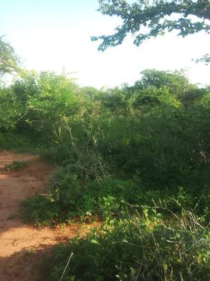 600 Acres For Sale in Mutha Region of Kitui County image 1