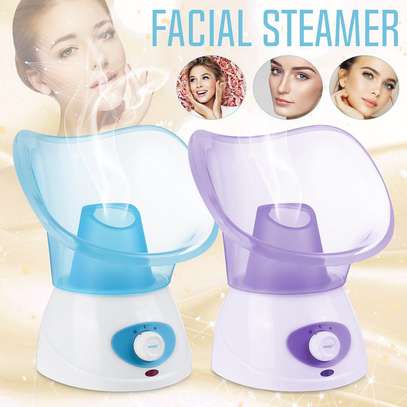 Face and  nasal steamer image 6