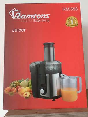 RAMTONS JUICE EXTRACTOR BLACK SILVER 2 SPEED RM 598
