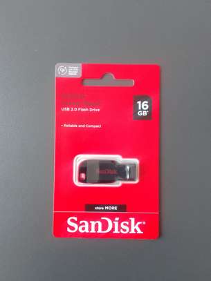 Sandisk Cruzer Blade 16GB USB 2.0 Flash Drive image 3