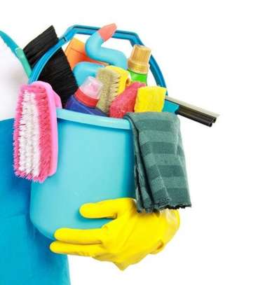 Cleaning Services in Nairobi,Riverside/ Ridgeways/ South C image 15