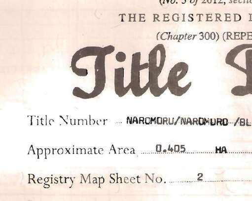 Land for sale Naromoru Nyeri county Mt Kenya slopes side image 2