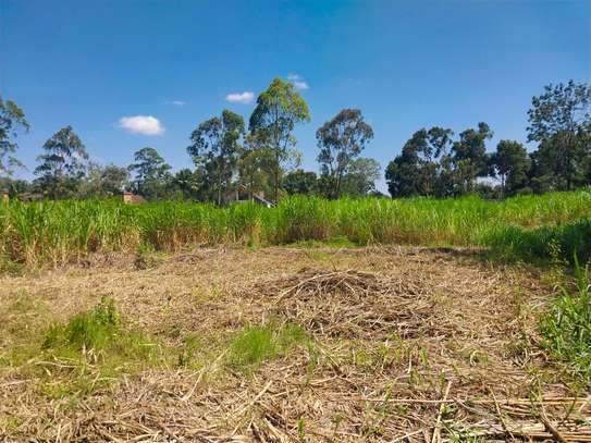 0.5 ac Land in Ridgeways image 4