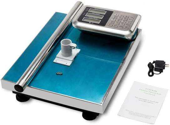 Electronic Platform Weighing Scale with Price Computing LED Display, 300 kg capacity image 1